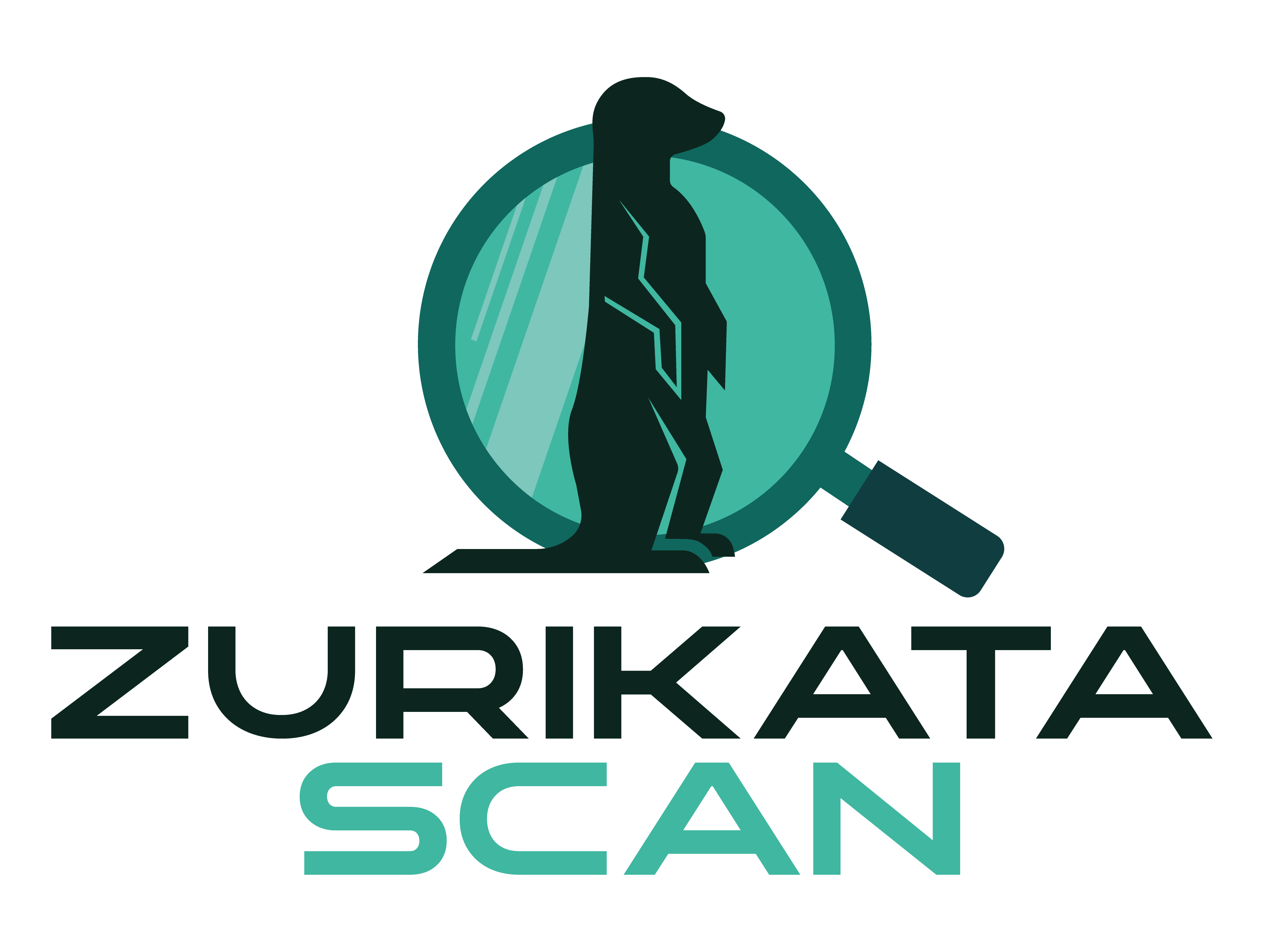 Logo Zuricata Soft